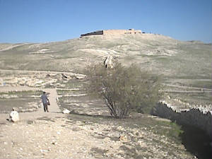 image38.jpg