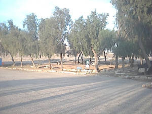 image6.jpg
